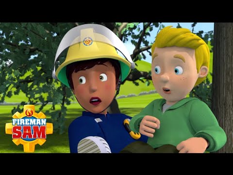 Ellie Saves James & the Little Cadets | Fireman Sam US | Cartoons for Kids
