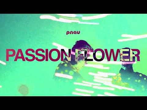 PNAU - Passion Flower (Official Visualiser)