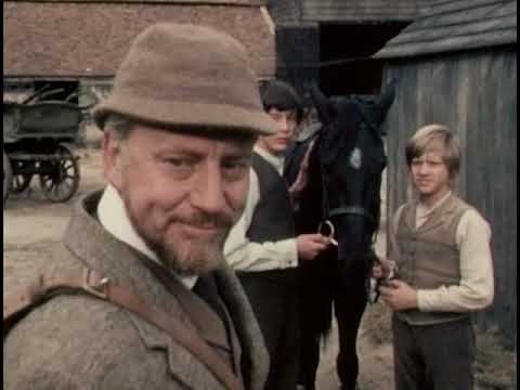 Black Beauty - 50.Der alte Haudegen (11.12.1976)