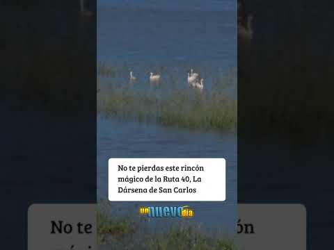 LA DÁRSENA SAN CARLOS #sancarlos #salta #naturaleza #turismo