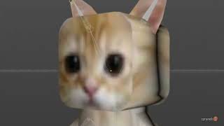 Cover art for EL GATO