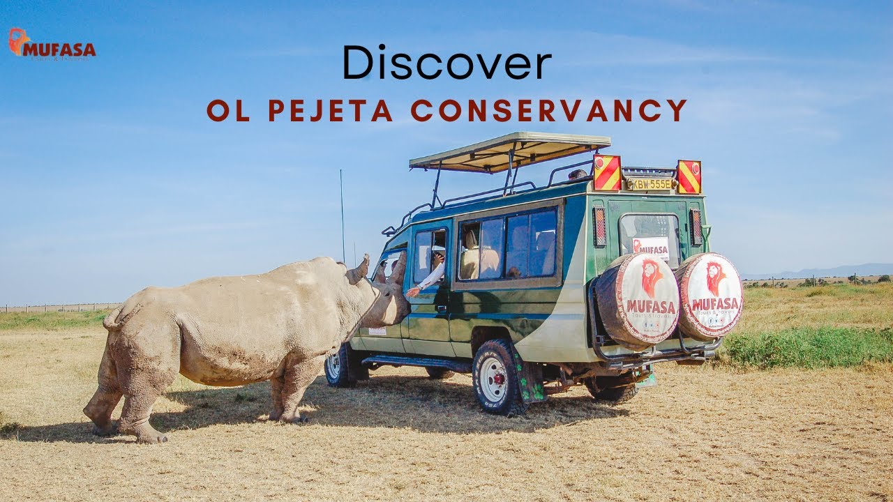 OL PEJETA CONSERVANCY | Where Wildlife Conservation Meets Adventure
