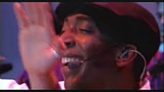 Desengano Lyrics English Translation