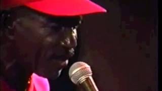 Zandolie - Too Much Man Family