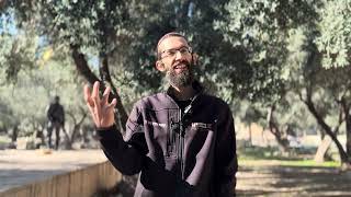 בית רחל ובית לאה וקודש הקודשים | הרב רועי זאגא (ישיבת הר הבית) - התמונה מוצגת ישירות מתוך אתר האינטרנט יוטיוב. זכויות היוצרים בתמונה שייכות ליוצרה. קישור קרדיט למקור התוכן נמצא בתוך דף הסרטון