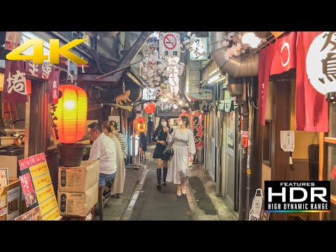 🏮 Noite de festa em Omoide Yokocho (Piss Alley) | Izakaya, comida de rua japonesa e boas vibrações!