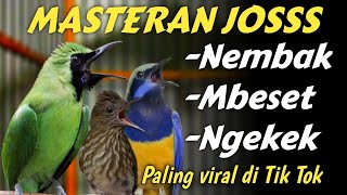 Download lagu Super mantap!! MASTERAN ISIAN KEKINIAN FULL TEMBAKAN MEWAH‼️ mp3