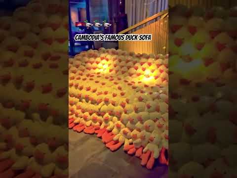 🇰🇭🦆🦆🦆 Cambodia’s Famous Duck Sofa #siemreap #jayahouse #visitcambodia #ultraluxury #vip #ducks