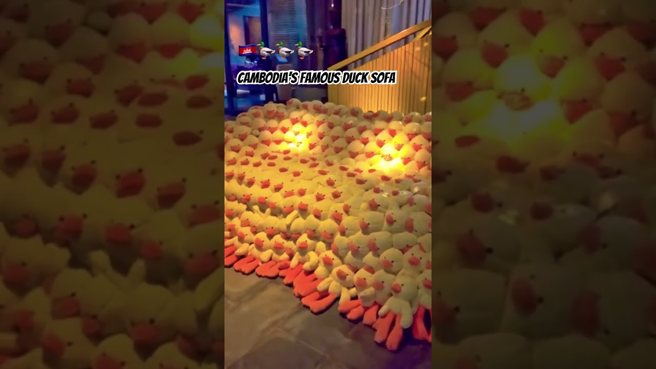 🇰🇭🦆🦆🦆 Cambodia’s Famous Duck Sofa #siemreap #jayahouse #visitcambodia #ultraluxury #vip #ducks