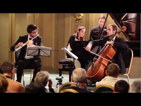 Mendelssohn: Piano Trio in D minor Op. 49 (version for flute, cello and piano by the author)