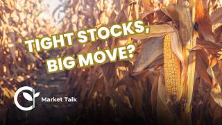Why Corn Could Explode Into the Low $6s (And What Would Stop It)