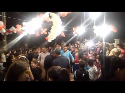 Ork Universal & Krasi Leona