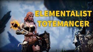 Elementalist - Totemancer Class
