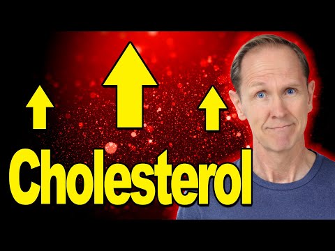 Erhöht TMG Ihren Cholesterinspiegel?