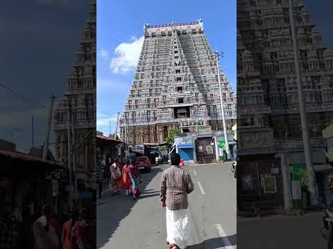 Sri Rangam Darshan @srirangamtemple2414 @srirangammahout5138 @Tvk360_update