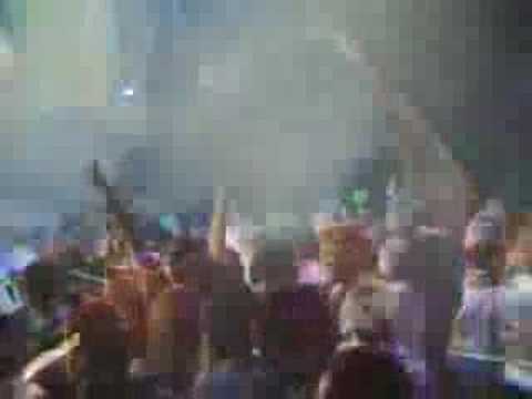 Space Cat vs PERPLEX