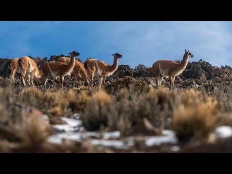 Reserva Natural Villavicencio