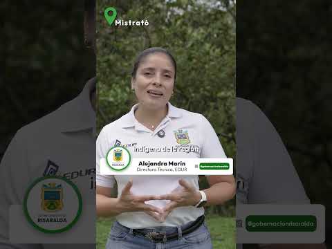 Gracias a la gestión del gobernador Juan Diego Patiño, Mistrató tendrá un río recuperado