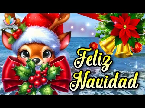 MERRY CHRISTMAS 🌲The Best Christmas Message for You 🌲Happy Holidays and Happy New Year