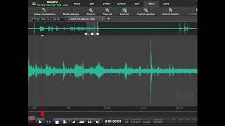 V2K Voice harassment recorded