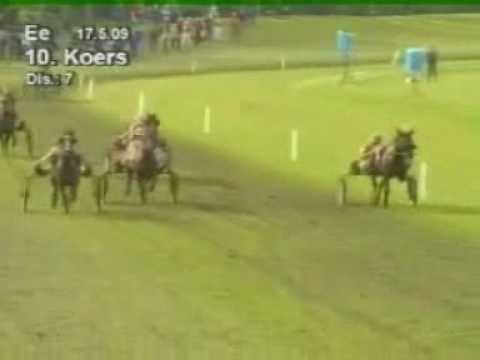 Flevofarm Stayerskampioenschap 2009 - Valentino Viola