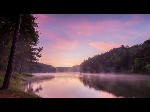 1 Hour Haunting Loon Call & Chirping Crickets On A Windy Evening~ *No Music*