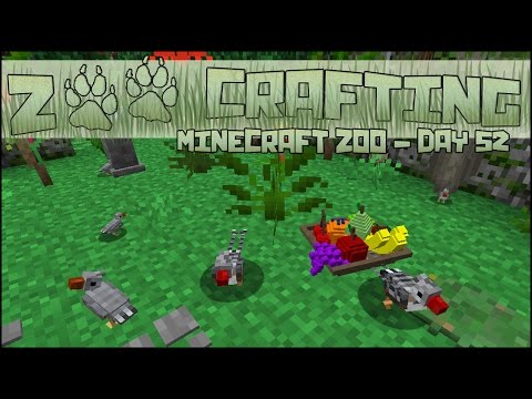 Expanding Our Feathered Flock! 🐘 Zoo Crafting: Season 2 - Episode #52