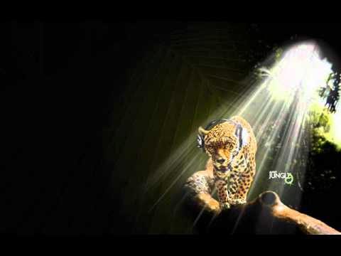 Moonbeam-Multy Fly Vs. Spartaque- Enter The World(Mash Up)