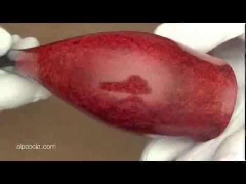 pipa Il Ceppo 147 - cachimbos