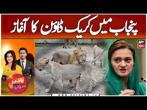 Crackdown on Unlicensed Lion Owners in Punjab
