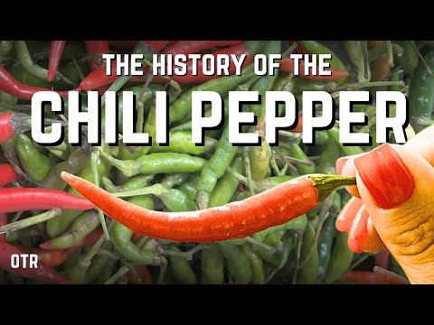 How The World Became Spicy (In Only 20 Years)