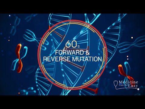 Genetics in 60 seconds: Forward & Reverse Mutation
