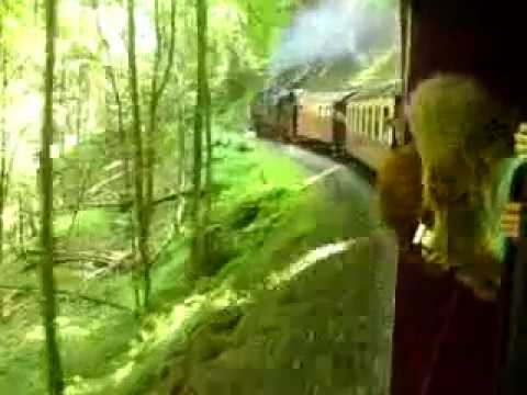 Harzer Schmalspurbahn/Brockenbahn