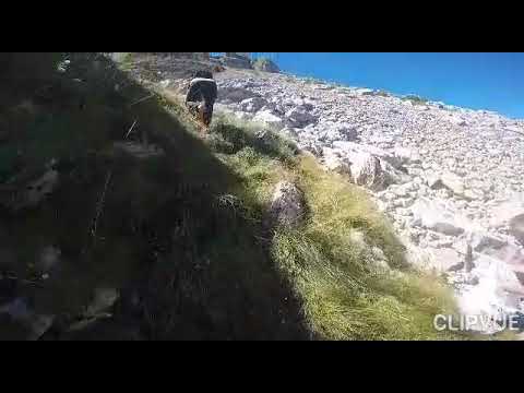 Uspon na Mali Štit 1979 mnm (2035-2070 ?) Moračke planine 05.09.2020.