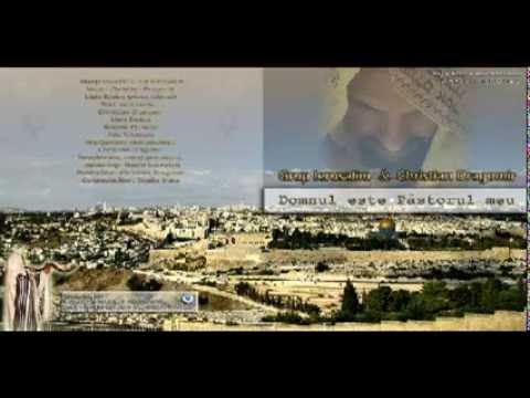 Cristian Dragomir   Vreau sa vad chipul Tau