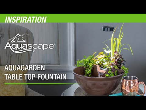 Create Your Own Mini Pond with the AquaGarden Tabletop Fountain Kit
