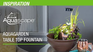 Create Your Own Mini Pond with the AquaGarden Tabletop Fountain Kit!!