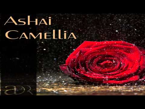 Ashai - Camellia (Andrian Cyber Remix) [Andromeda Recorginds]