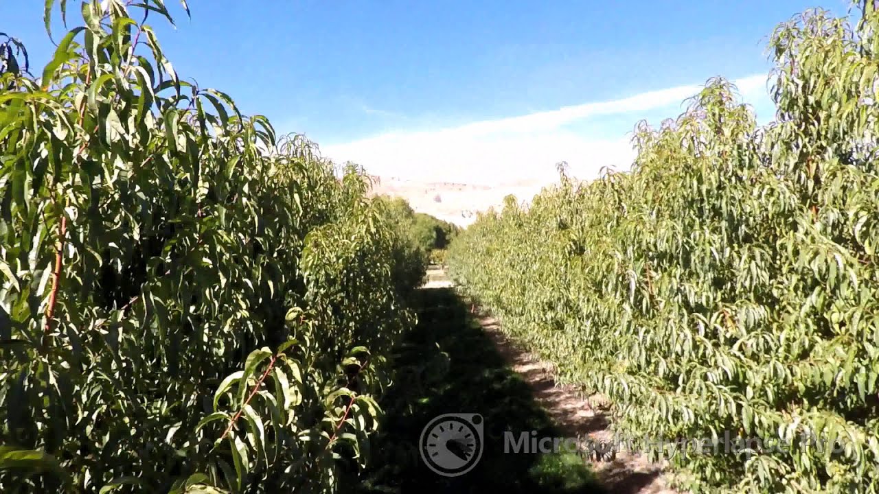 Video: GOPR4533 hyperlapse 2x adv