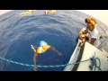Diana Nyad Drinking Water - Cuba To Florida Swim (9/1/2013 1:15PM)