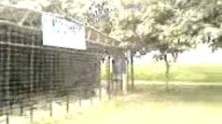 preview picture of video 'Gulshan Park LIVE Cricket N Gym.mp4'