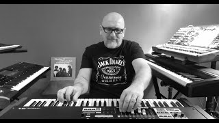 "Chicken Pox" (version cover Booker T.)  Hammond organ is not dead yet