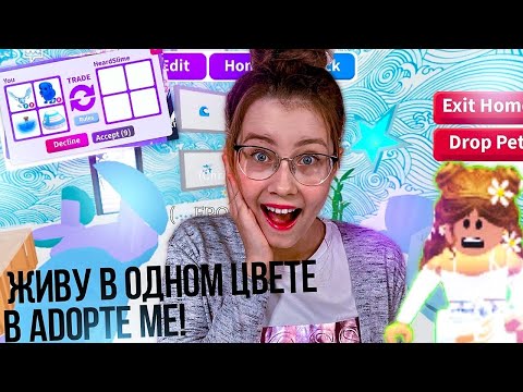 24 ЧАСА ЖИВУ в ОДНОМ ЦВЕТЕ в АДОПТ МИ | Челлендж в ROBLOX Кристи Чарм роблокс адоптми