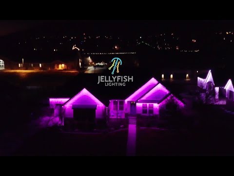 YouTube video about: How expensive is jellyfish lighting?