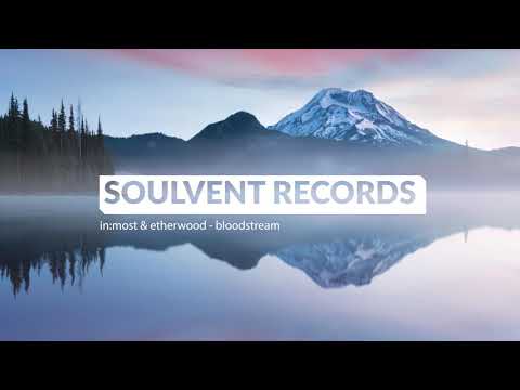 In:Most & Etherwood - Bloodstream (Official Audio)