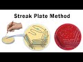 Lab technique microbiology: Streak plate method