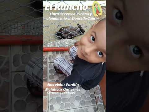 Se alquila en el Doncello Caqueta, finca de recreo, eventos y alojamiento… ambiente y naturaleza