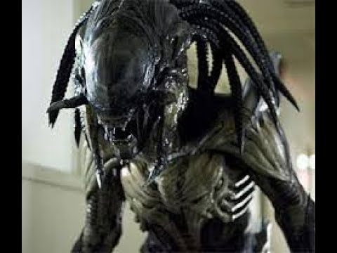 Alien vs Predator: Requiem "Predalien" scenes but at 300% brightness #AlienVsPredator #Predalien