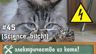 Бесплатное электричество из кота, или лейденская банка своими руками