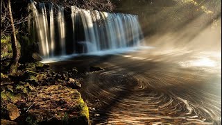 Meditation Monday – Archangel Uriel’s Peace Dispensation.